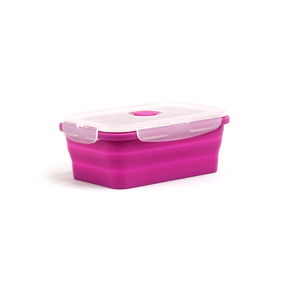 Neoflam Set of 4 Collapsible Silicone Food Storage Containers